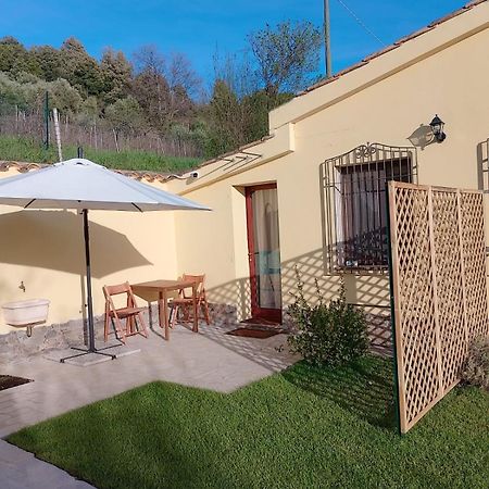 New! La Ginestra,Casa Vacanze Bifamiliare In Montagna-Seulo Sardegna Bagian luar foto