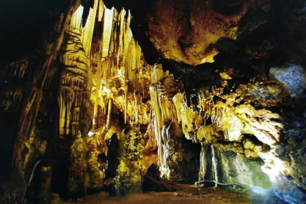New! La Ginestra,Casa Vacanze Bifamiliare In Montagna-Seulo Sardegna Bagian luar foto