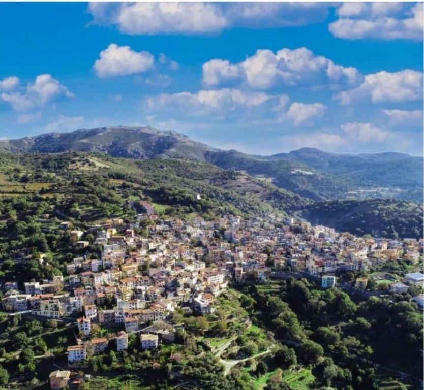 New! La Ginestra,Casa Vacanze Bifamiliare In Montagna-Seulo Sardegna Bagian luar foto