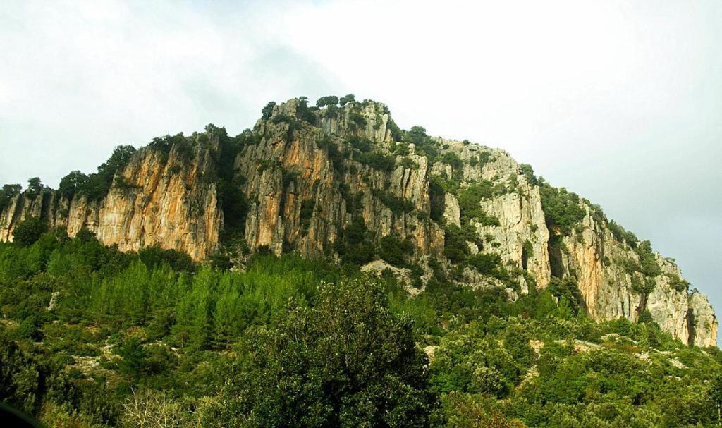 New! La Ginestra,Casa Vacanze Bifamiliare In Montagna-Seulo Sardegna Bagian luar foto
