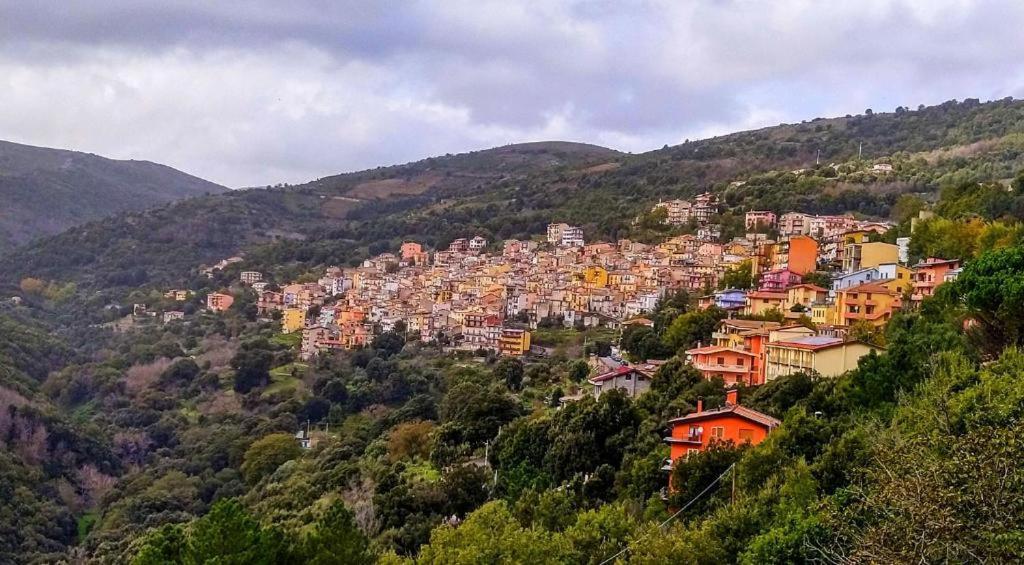 New! La Ginestra,Casa Vacanze Bifamiliare In Montagna-Seulo Sardegna Bagian luar foto