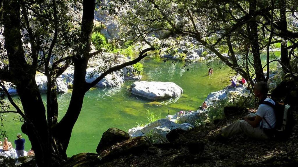 New! La Ginestra,Casa Vacanze Bifamiliare In Montagna-Seulo Sardegna Bagian luar foto