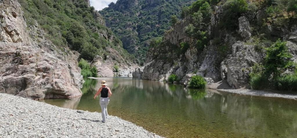 New! La Ginestra,Casa Vacanze Bifamiliare In Montagna-Seulo Sardegna Bagian luar foto