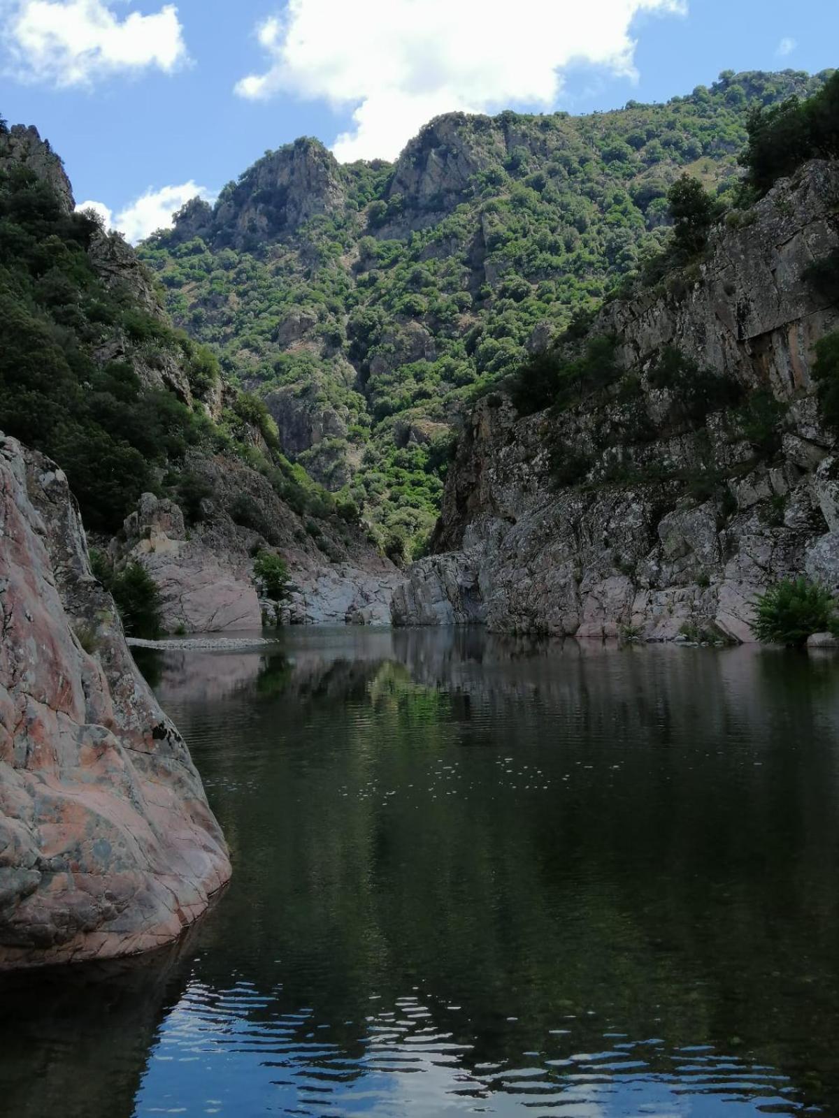 New! La Ginestra,Casa Vacanze Bifamiliare In Montagna-Seulo Sardegna Bagian luar foto